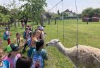 Výlet školní družiny do ZOOPARKU - třídy 1. A, 1.B, 1.C