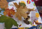 Podzimní tvoření z přírodnin