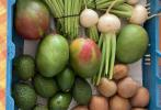 Ochutnávka exotického ovoce a zeleniny
