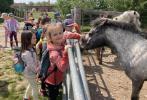 Výlet školní družiny do ZOOPARKU - třídy 1. A, 1.B, 1.C