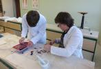 Laboratorní práce na Gymnáziu Pardubice, Dašická