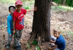 Škola v přírodě - Olešnice v Orlických horách
