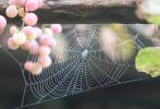 Přírodopisná fotografická soutěž VI. ročník - blíží se uzávěrkaI