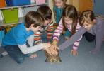 Zvířátka ve školní družině 