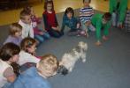 Zvířátka ve školní družině 