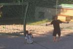 Škola v přírodě - Sport resort Nenudím se, Sázava 